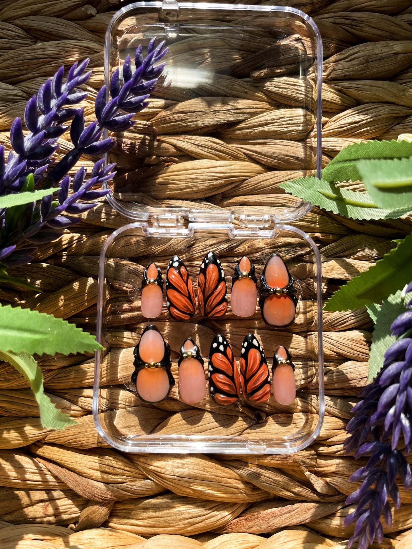 Chasing Monarchs